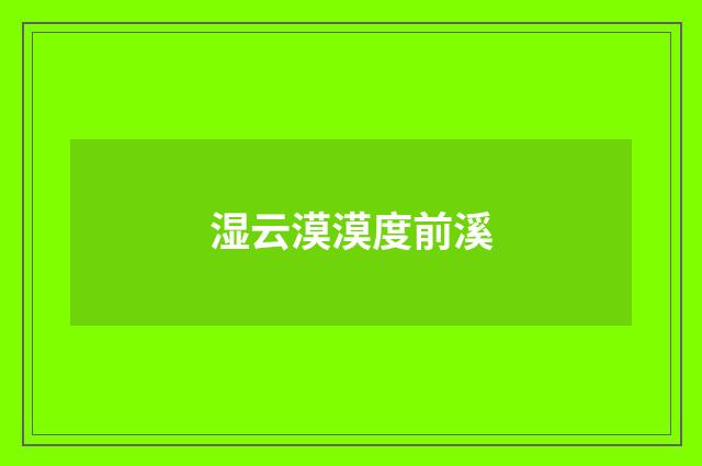 湿云漠漠度前溪