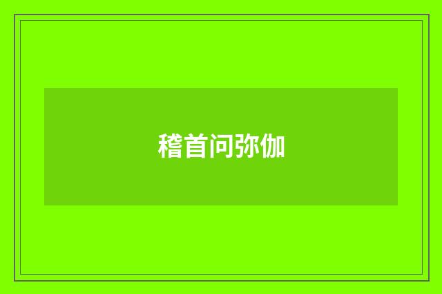 稽首问弥伽