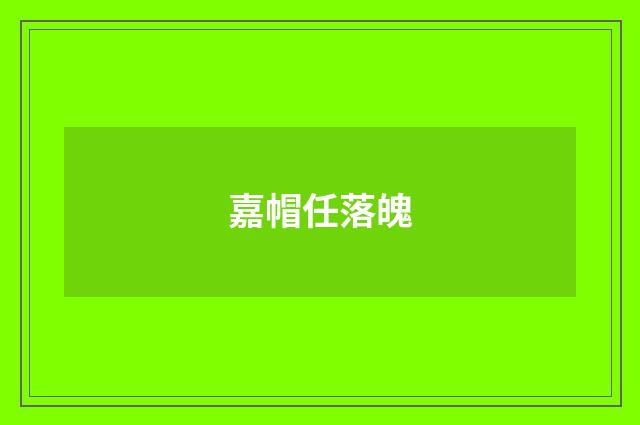 嘉帽任落魄