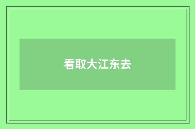 看取大江东去