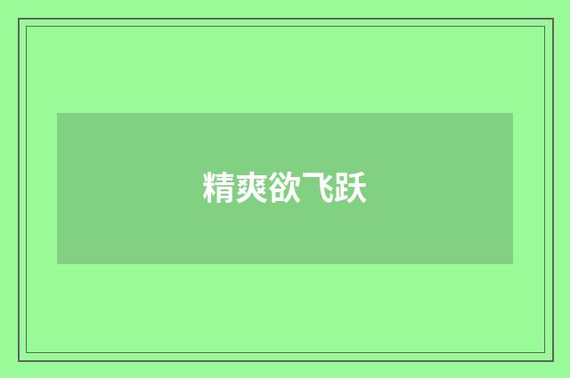 精爽欲飞跃