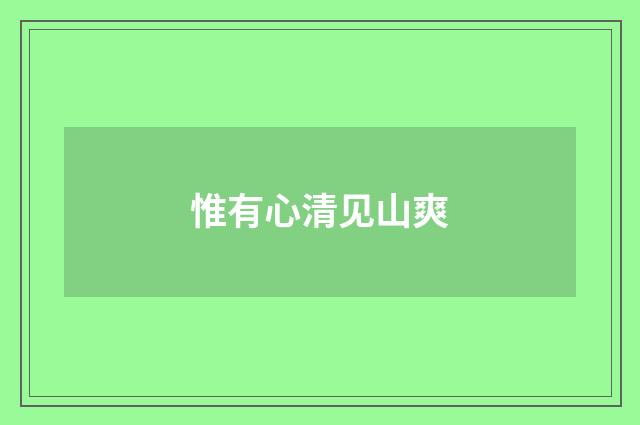 惟有心清见山爽