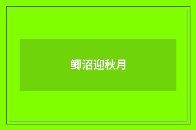 鲫沼迎秋月