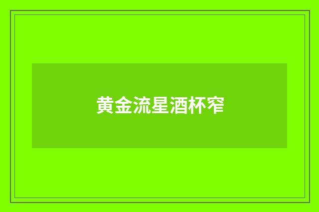 黄金流星酒杯窄