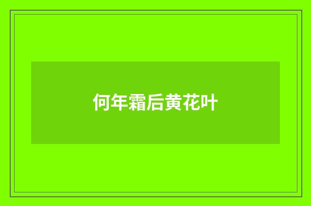 何年霜后黄花叶