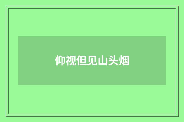 仰视但见山头烟
