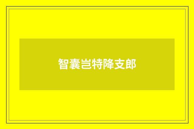 智囊岂特降支郎