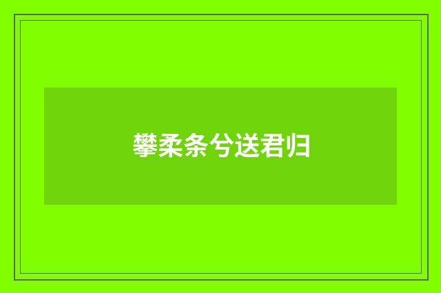 攀柔条兮送君归