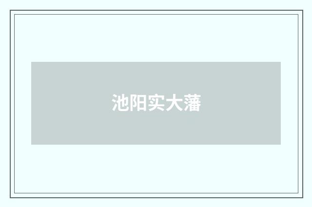 池阳实大藩