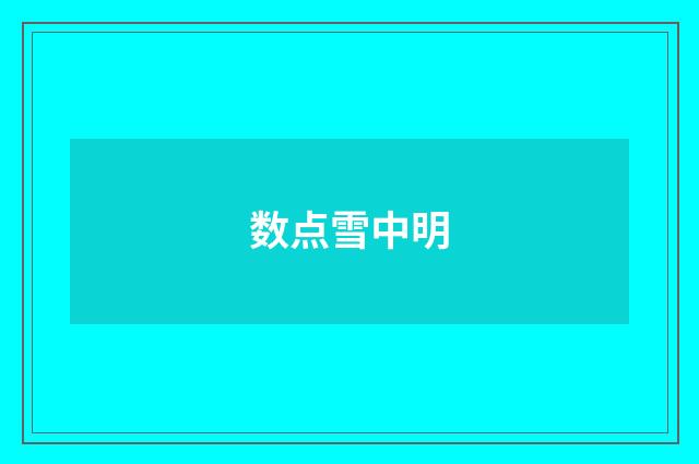 数点雪中明