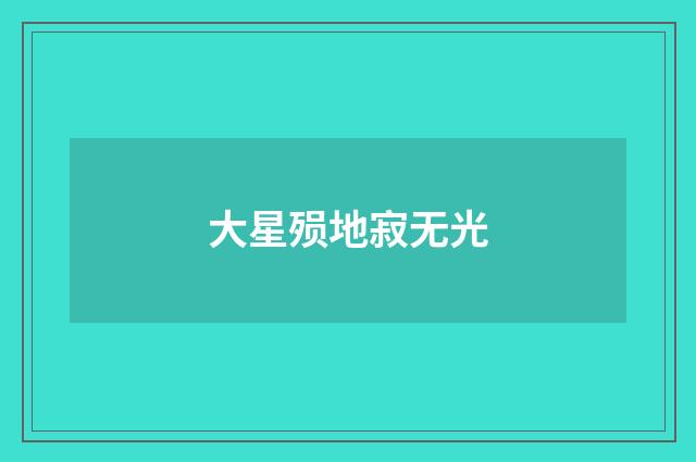大星殒地寂无光