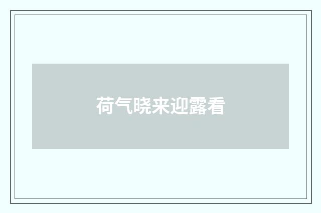 荷气晓来迎露看