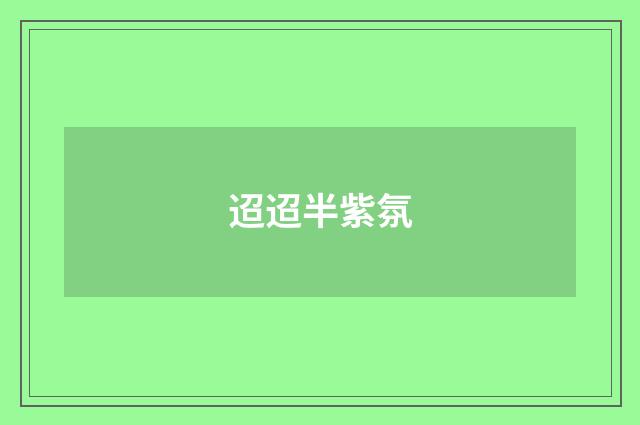 迢迢半紫氛