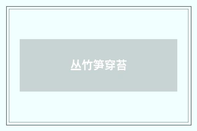 丛竹笋穿苔