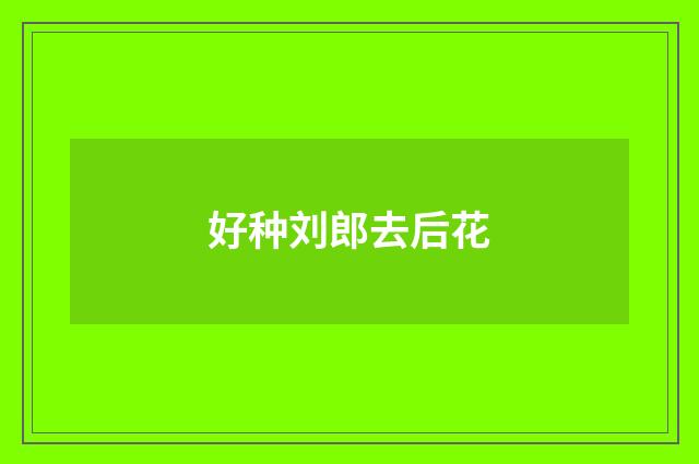 好种刘郎去后花
