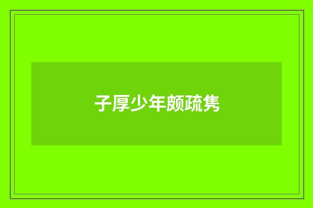 子厚少年颇疏隽
