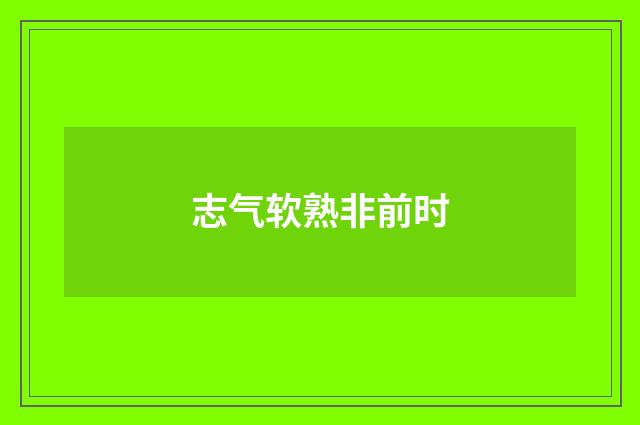 志气软熟非前时
