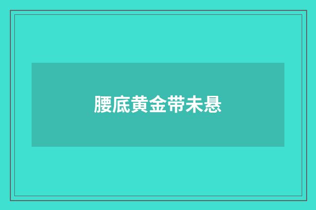 腰底黄金带未悬