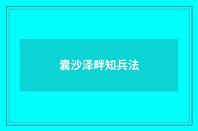 囊沙泽畔知兵法