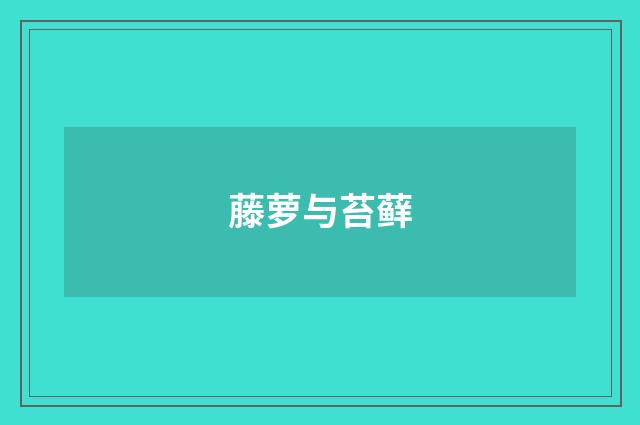 藤萝与苔藓