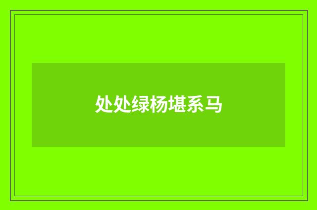 处处绿杨堪系马