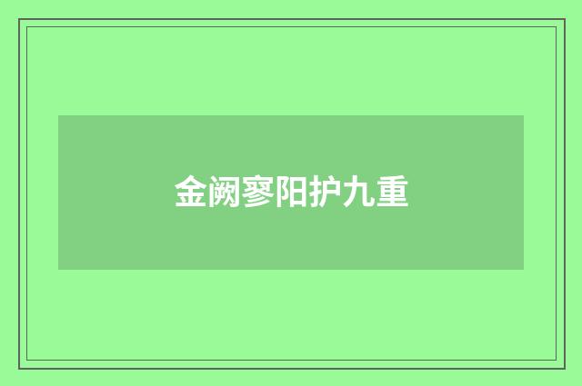 金阙寥阳护九重