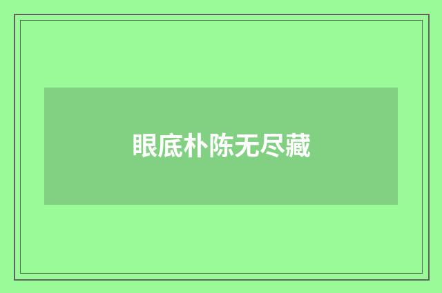 眼底朴陈无尽藏