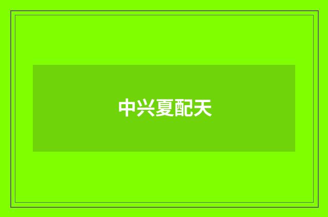 中兴夏配天