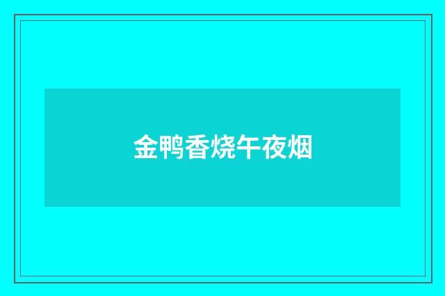金鸭香烧午夜烟
