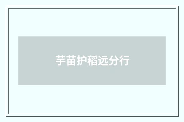 芋苗护稻远分行