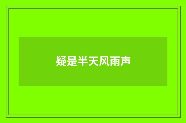 疑是半天风雨声
