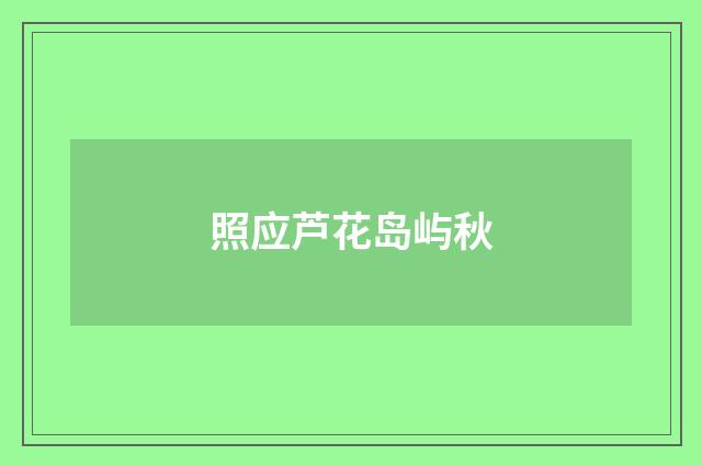 照应芦花岛屿秋