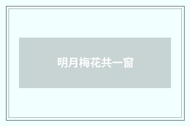 明月梅花共一窗