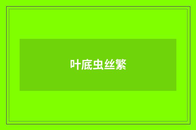叶底虫丝繁