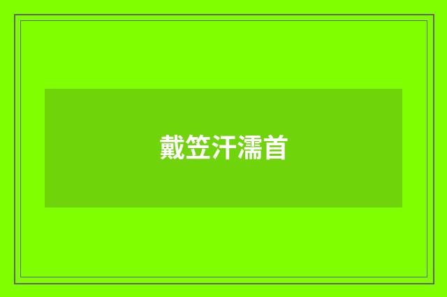 戴笠汗濡首
