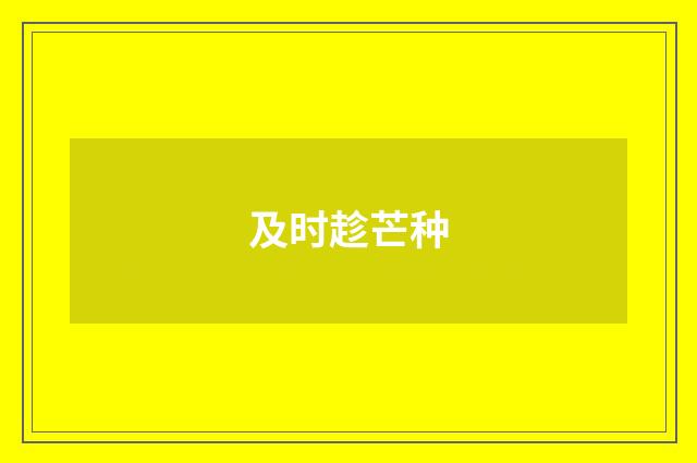 及时趁芒种