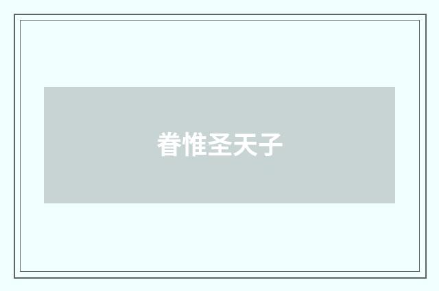 眷惟圣天子