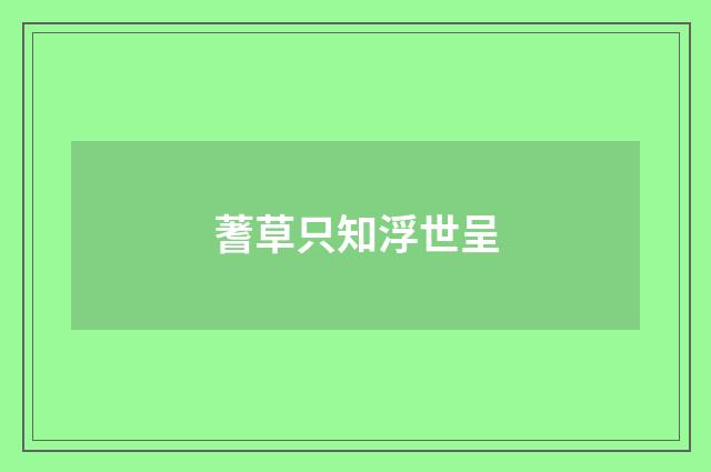 蓍草只知浮世呈