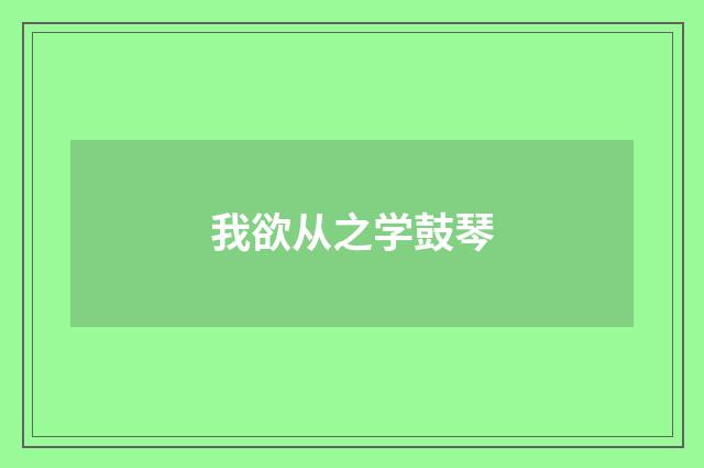 我欲从之学鼓琴