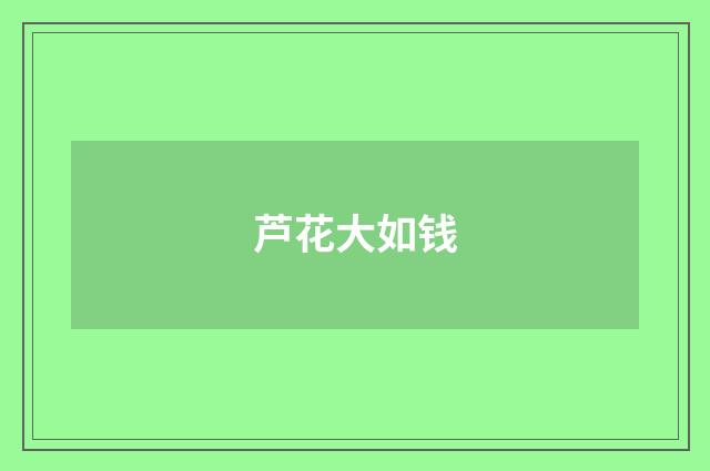 芦花大如钱