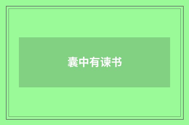 囊中有谏书