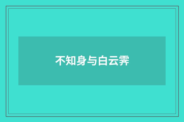 不知身与白云霁
