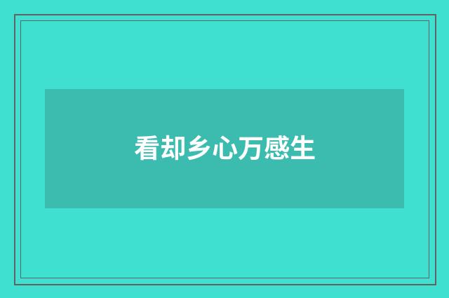 看却乡心万感生