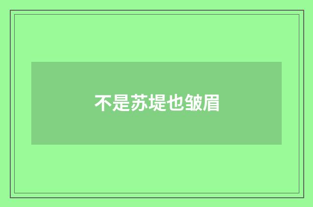 不是苏堤也皱眉