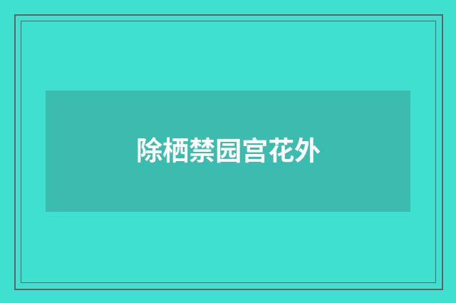 除栖禁园宫花外