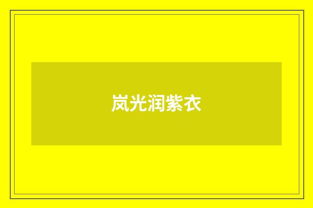岚光润紫衣