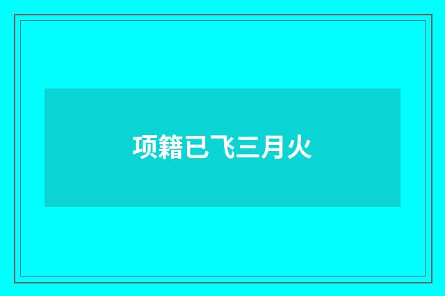 项籍已飞三月火