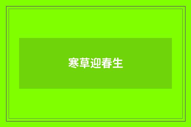 寒草迎春生