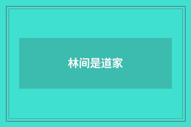 林间是道家