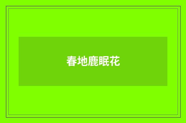 春地鹿眠花